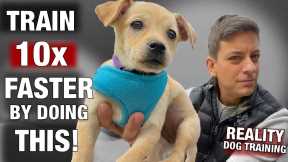 This 1 Tip will help you train 10 times faster￼! Reality Dog Training