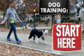 Dog Training Fundamentals (Watch this 